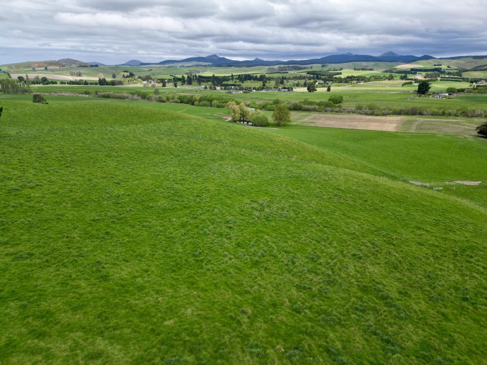 Palmerston-Dunback Road/Switchback Road, Palmerston