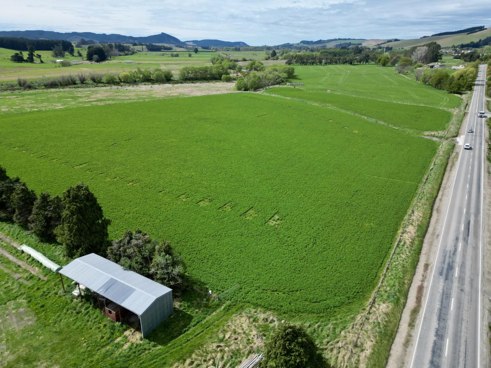 Palmerston-Dunback Road/Switchback Road, Palmerston