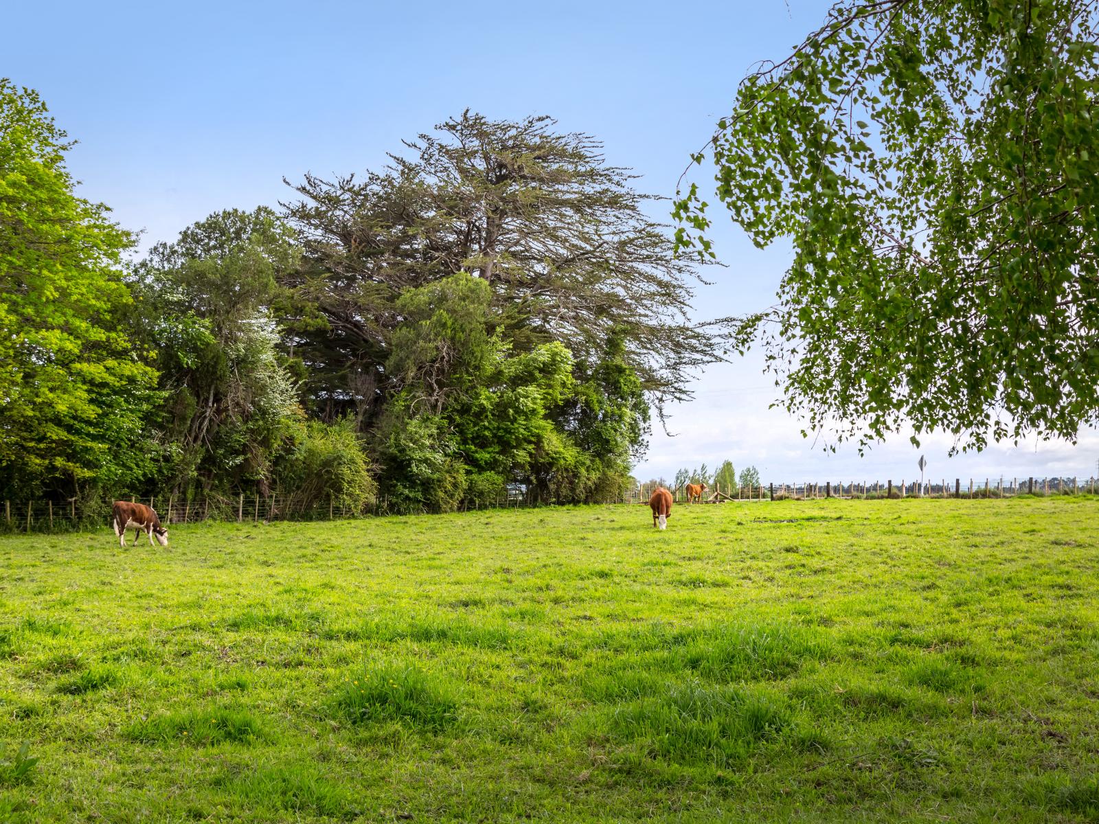 252 East Taratahi Road, East Taratahi