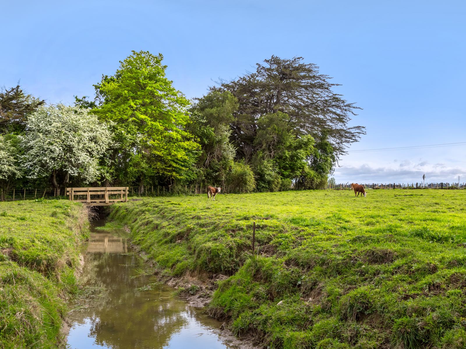 252 East Taratahi Road, East Taratahi