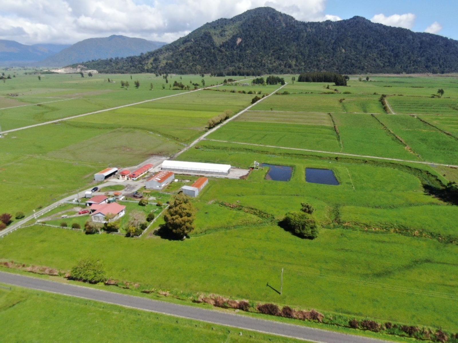 19 Cropp Road, Kowhitirangi