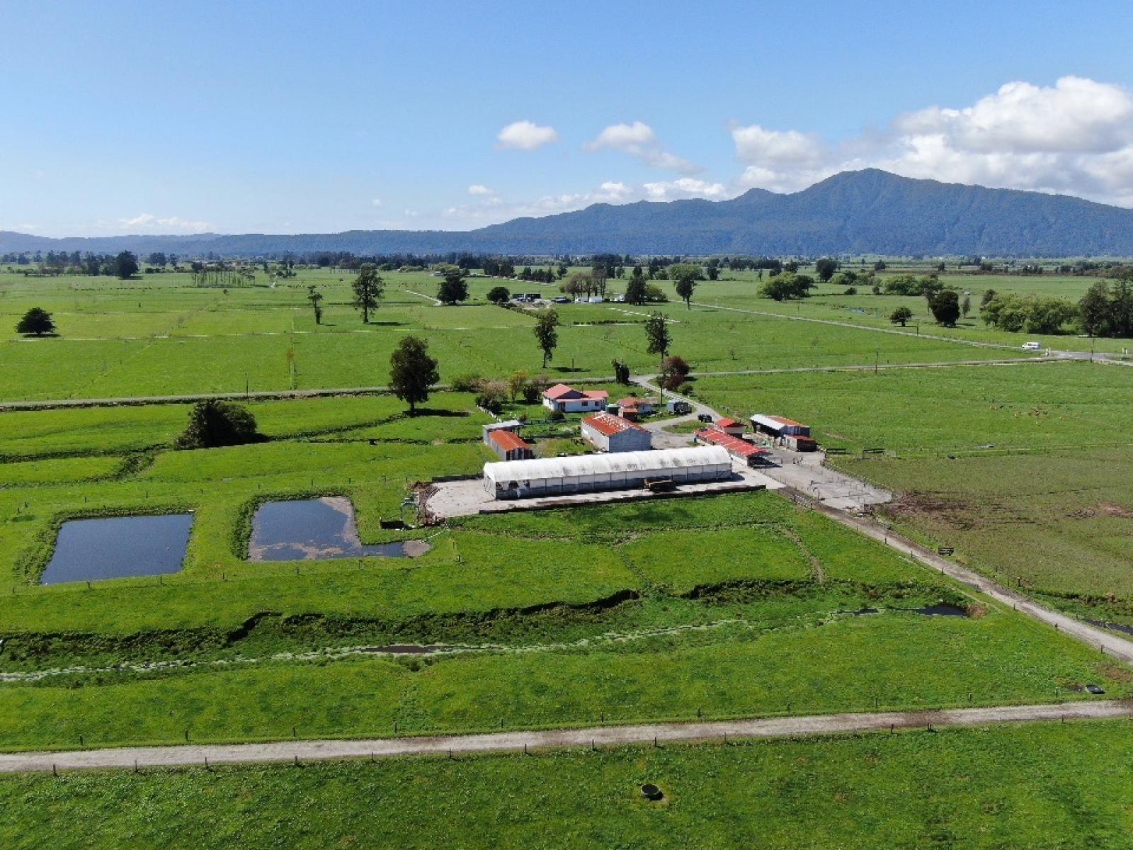 19 Cropp Road, Kowhitirangi