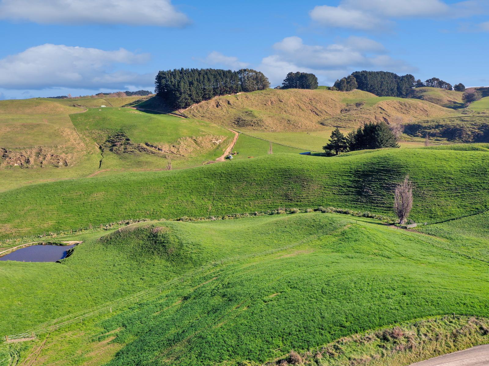 810 Spur Road, Ashhurst