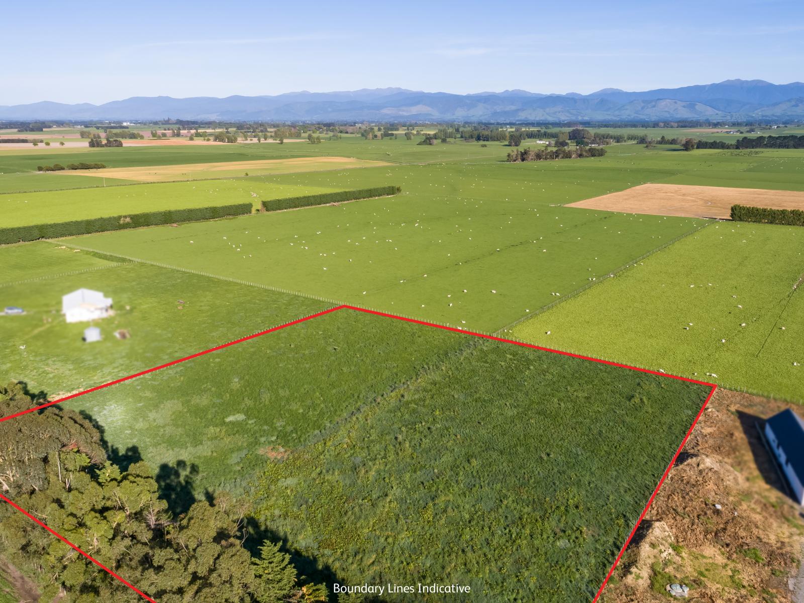 595 East Taratahi Road, East Taratahi