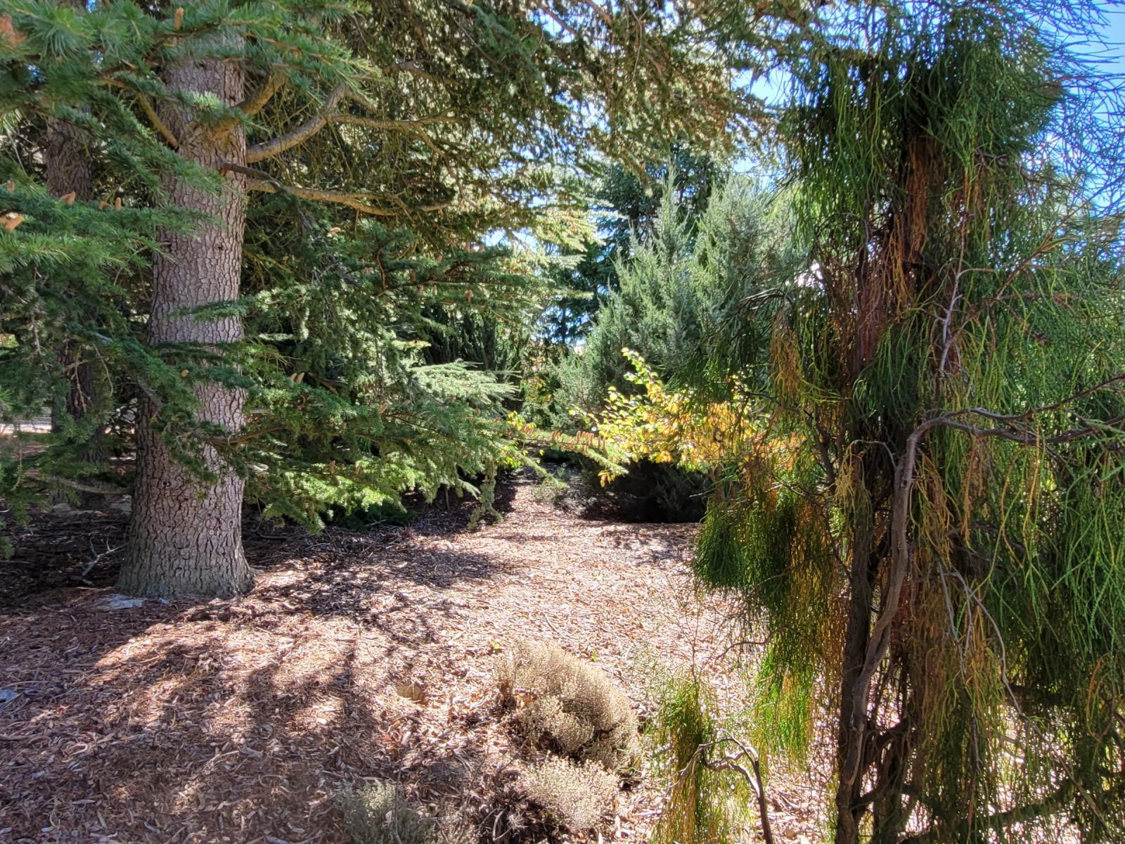 436A Bannockburn Road, Cromwell