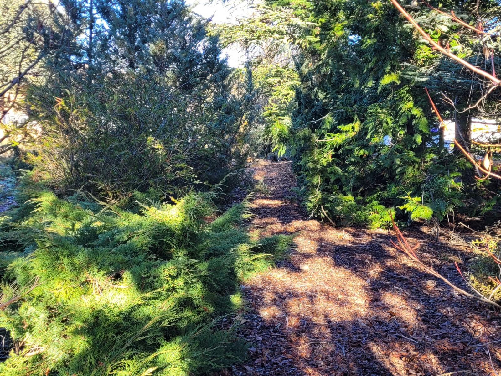 436A Bannockburn Road, Cromwell