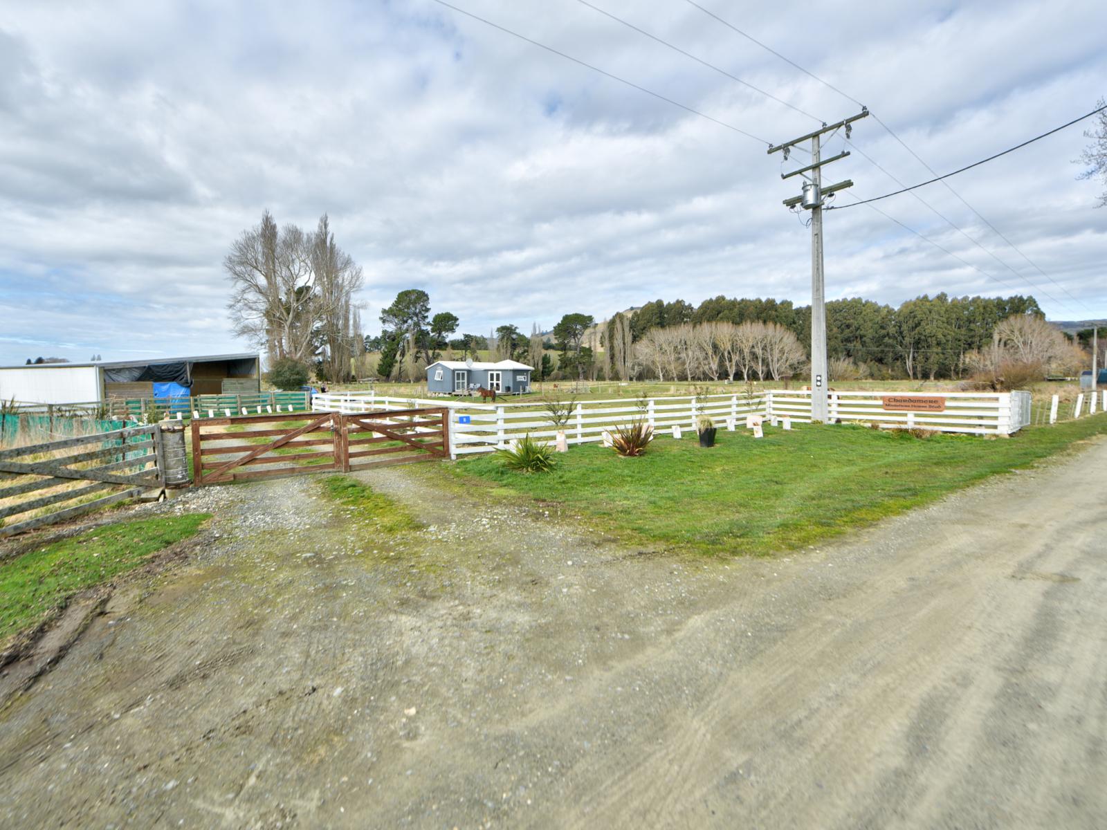 11 Horrell Road, Mandeville, Gore
