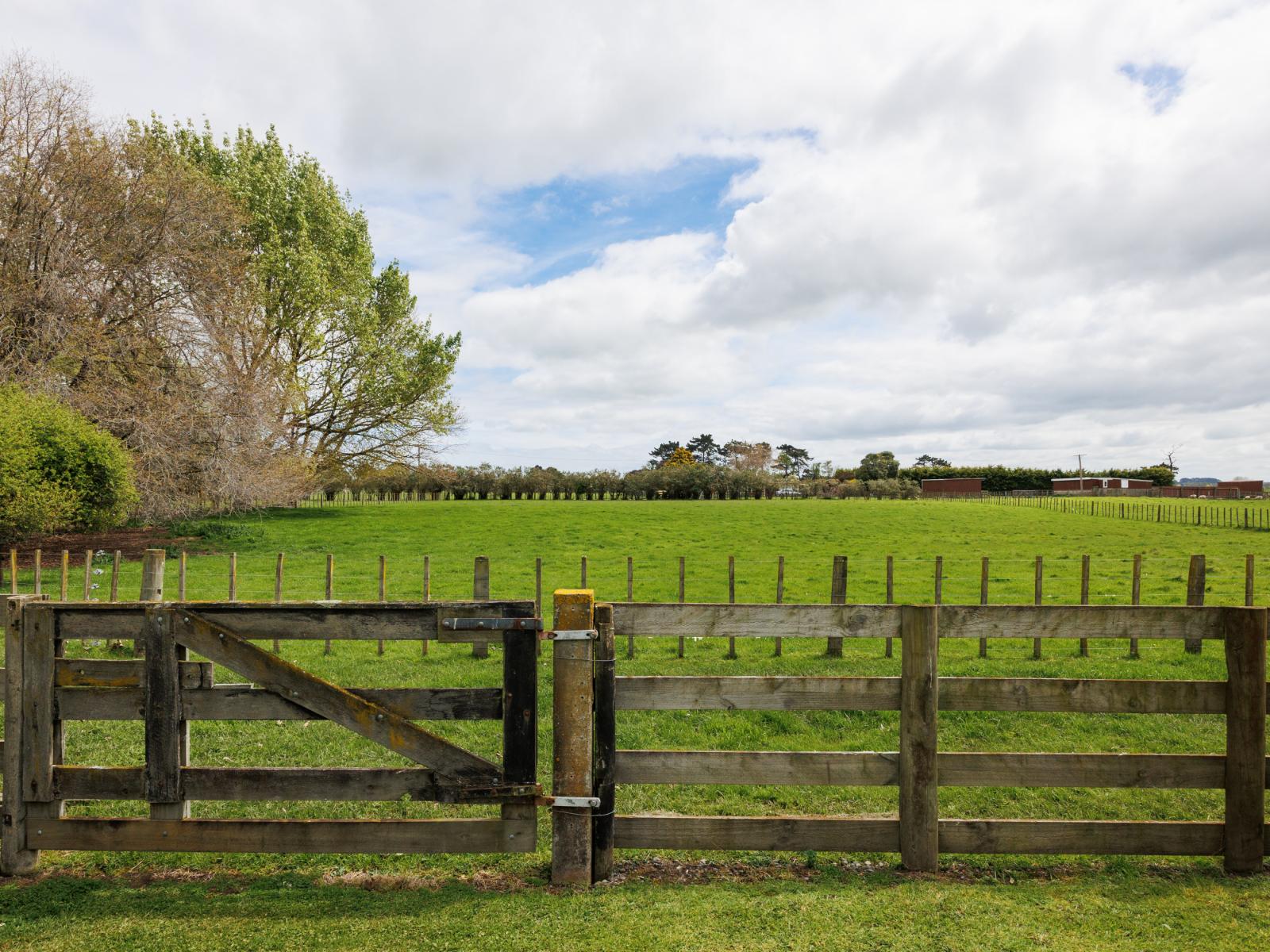 11 Lawton Road, Feilding