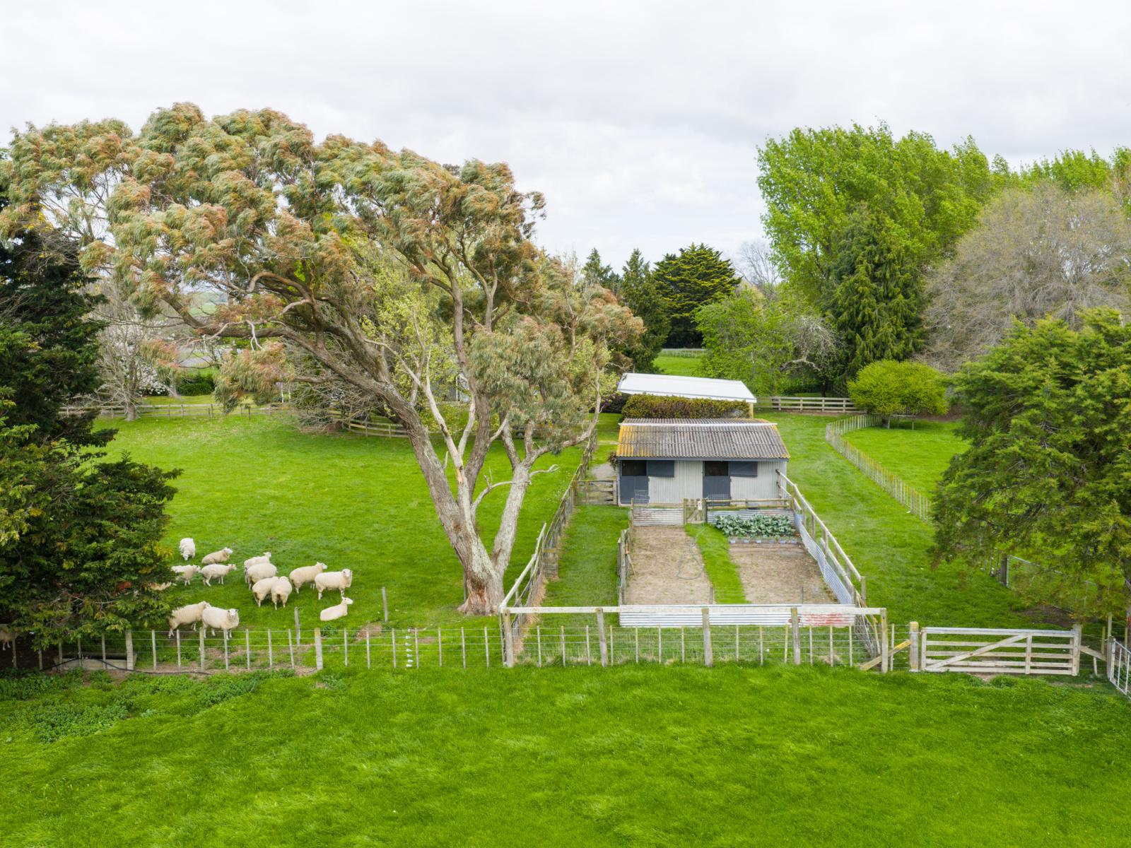11 Lawton Road, Feilding