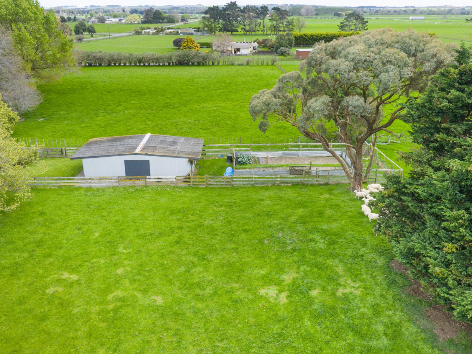 11 Lawton Road, Feilding