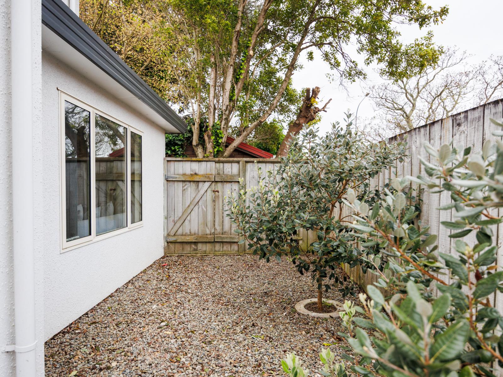 46C Pahiatua Street, Hokowhitu