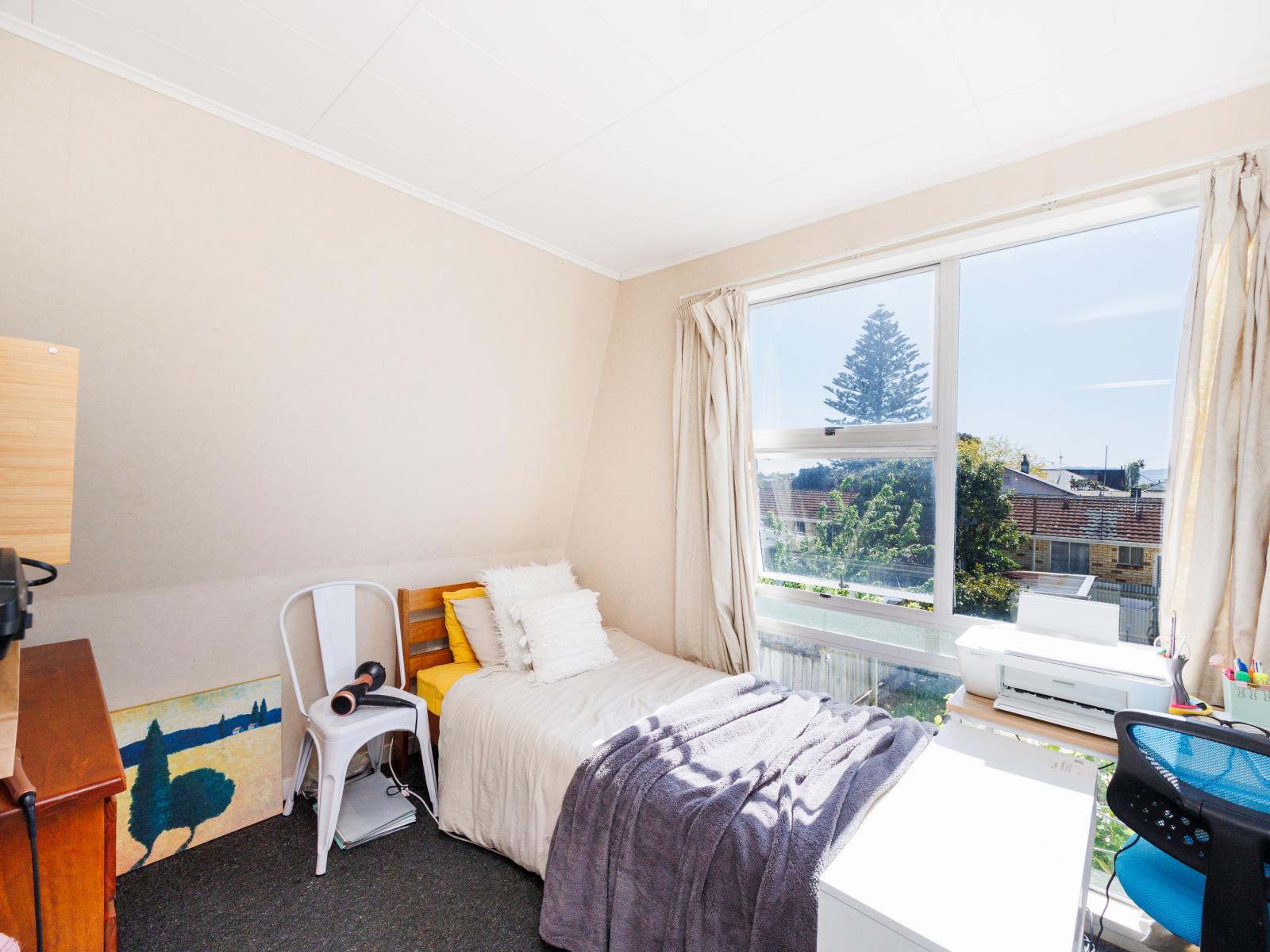 3 Pascal Street, Palmerston North