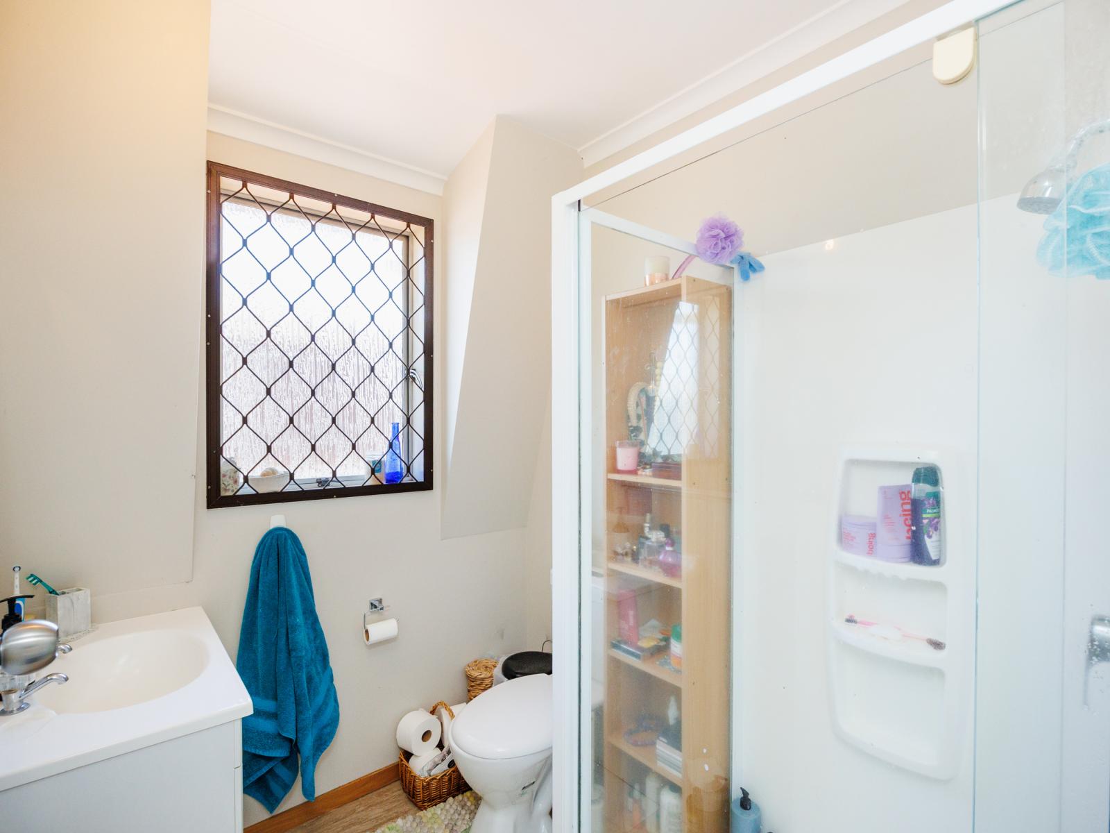 3 Pascal Street, Palmerston North