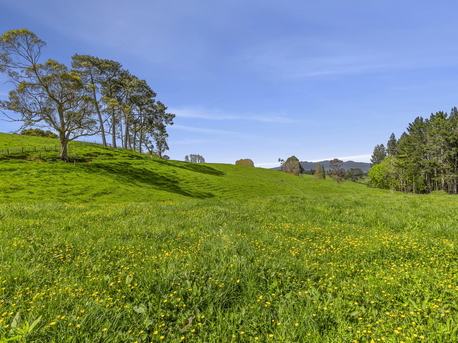 24 Rowe Road, Whatawhata