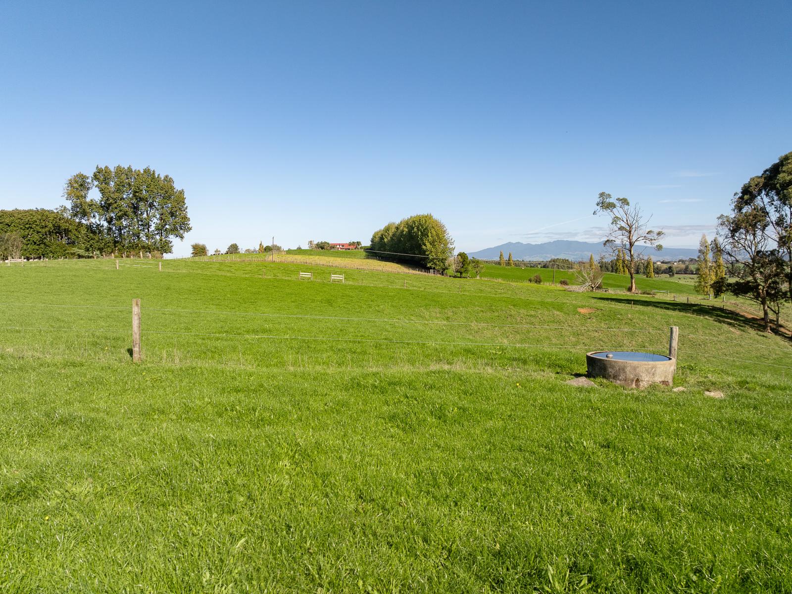 24 Rowe Road, Whatawhata