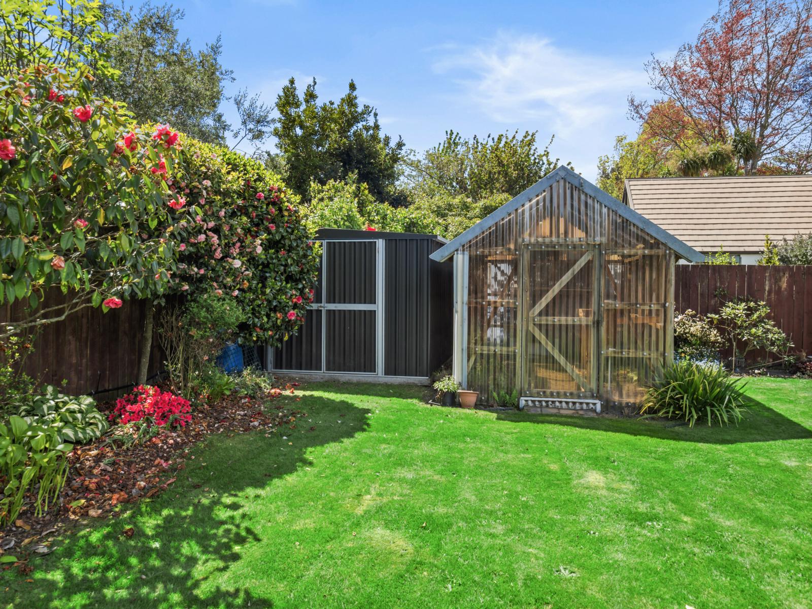 10 Buchanan Place, Allenton