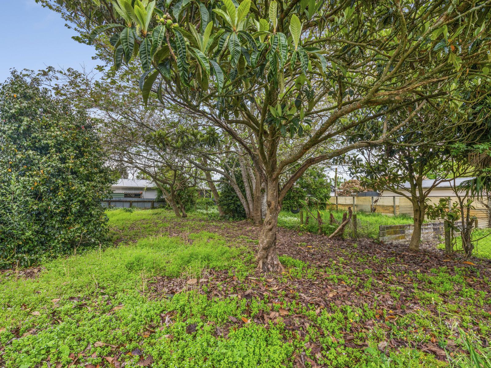 14 Central Street, Matamata