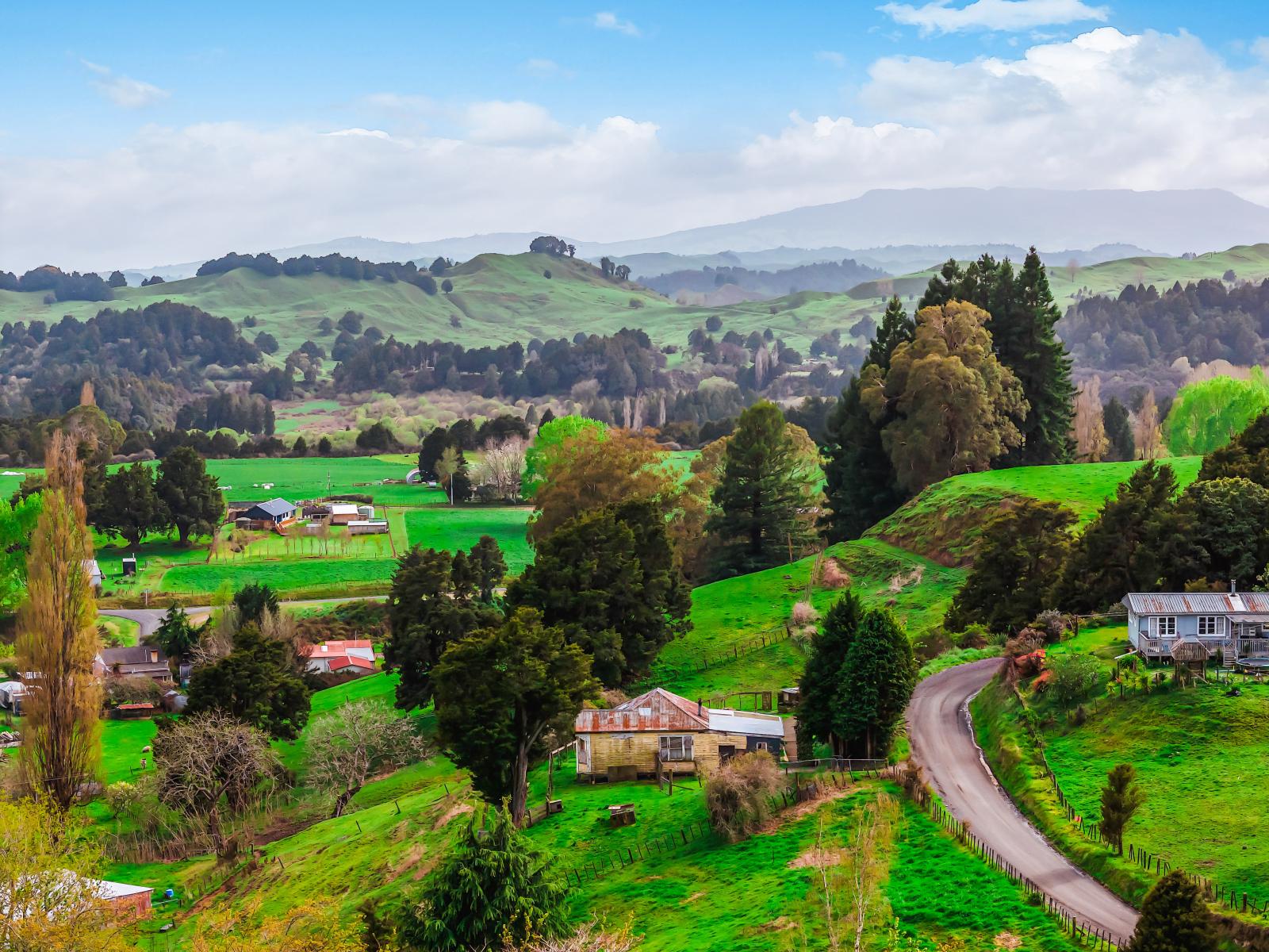 17 Hapa Road, Kakahi, Owhango