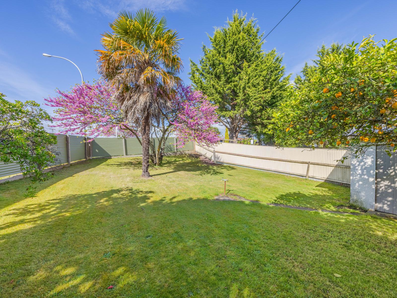 1 Ruataniwha Street, Waipukurau