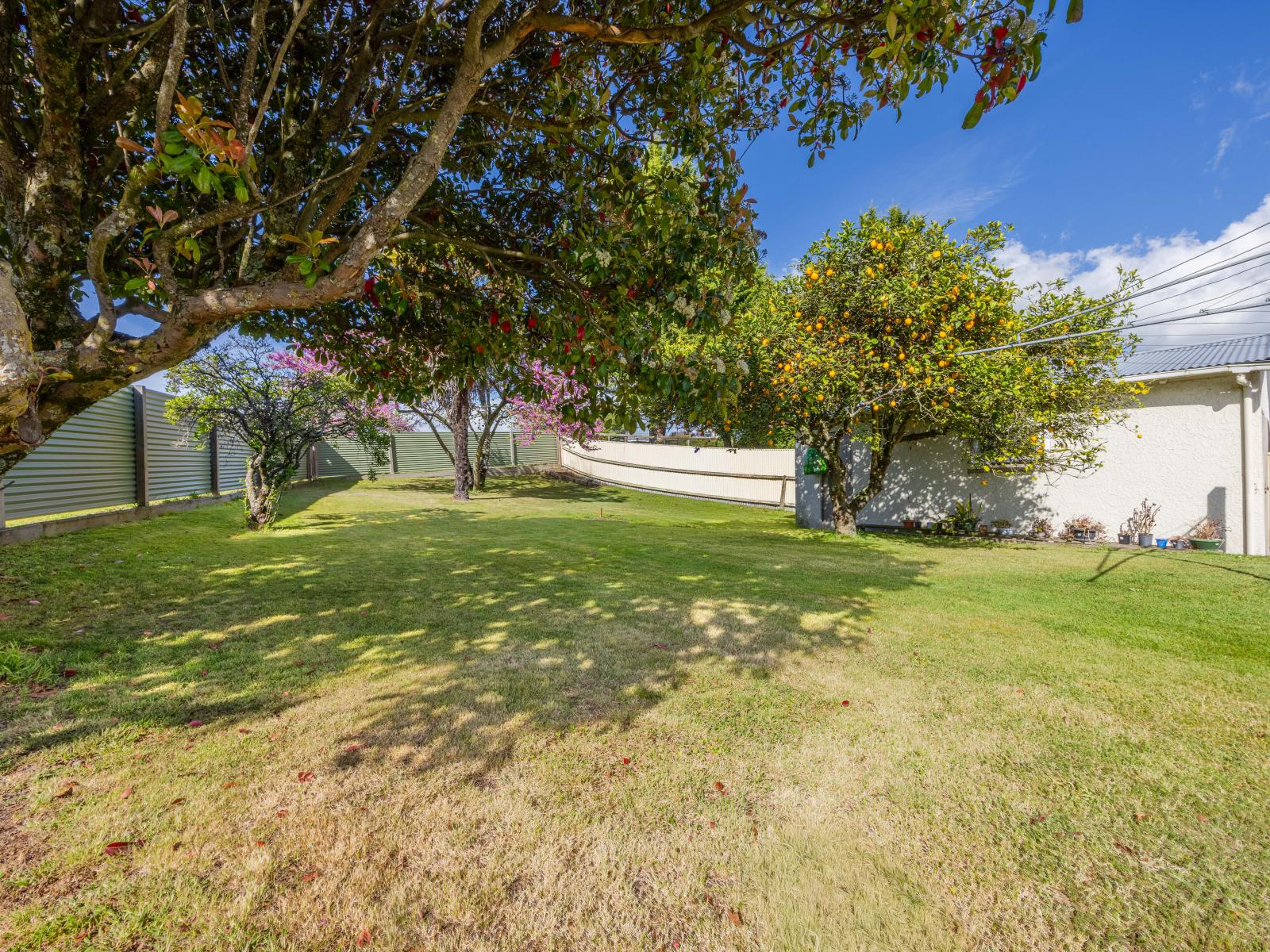 1 Ruataniwha Street, Waipukurau