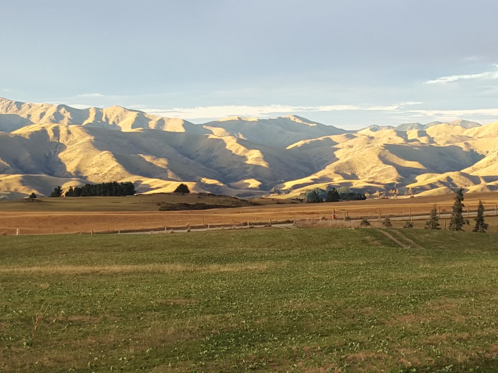 659 Ritchie Road, Dunback