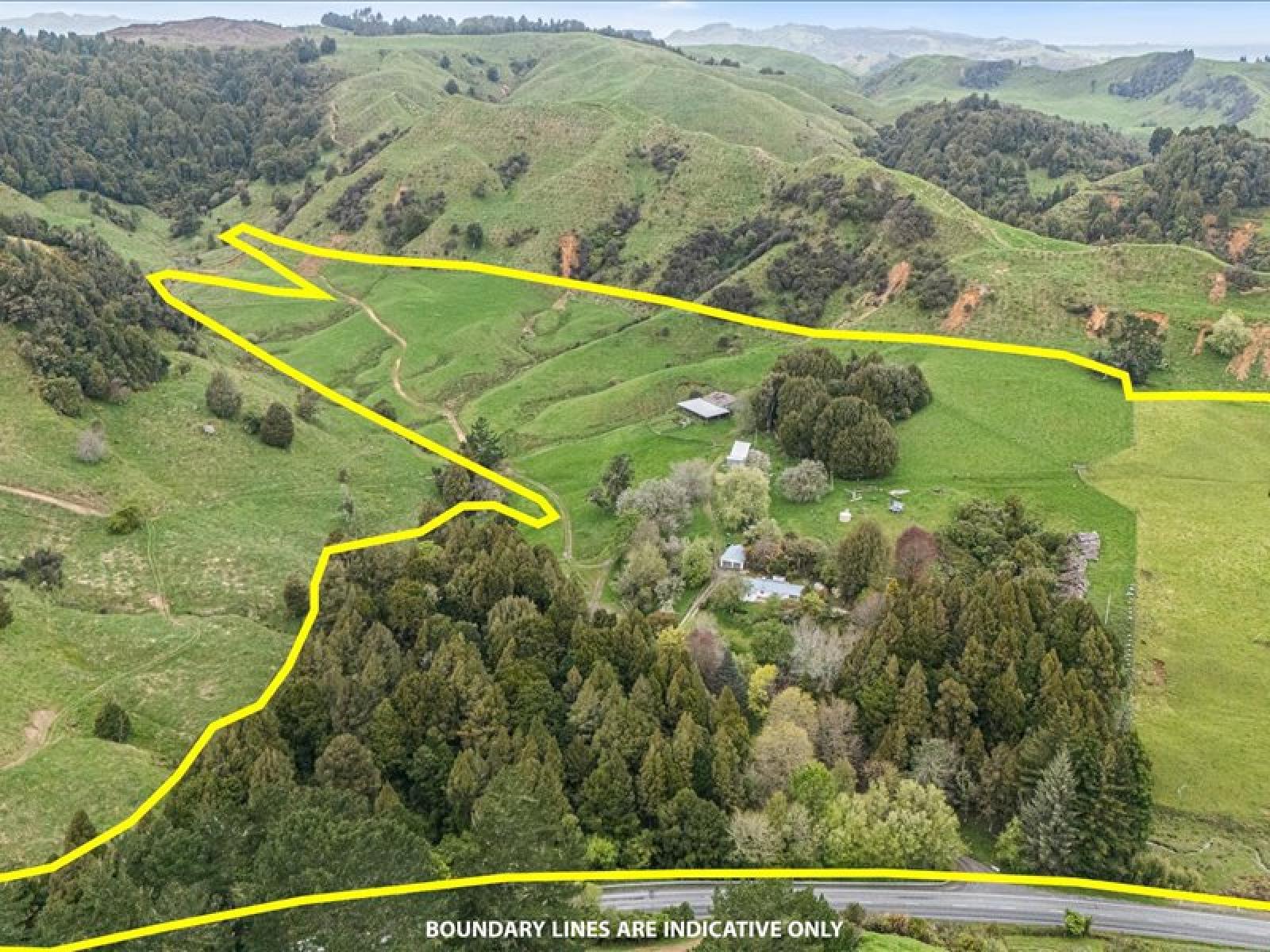 1711 State Highway 4, Aria