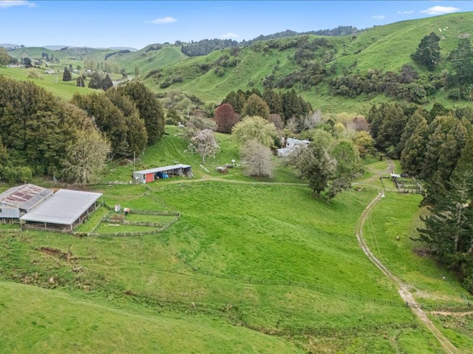 1711 State Highway 4, Aria