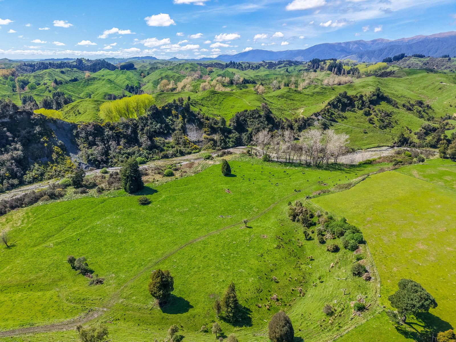 395 Te Para Para Road, Rangiwahia
