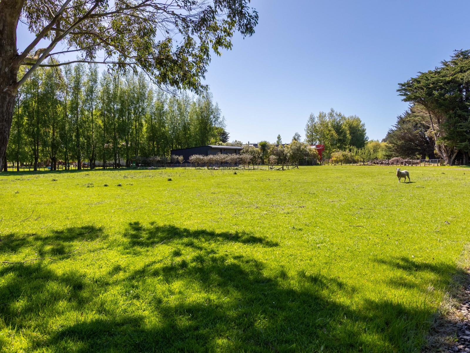 Lots 40-41 Mabel Street, Woodville