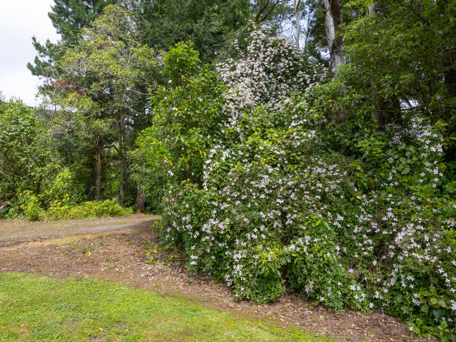 403 Scotts Road, Linton