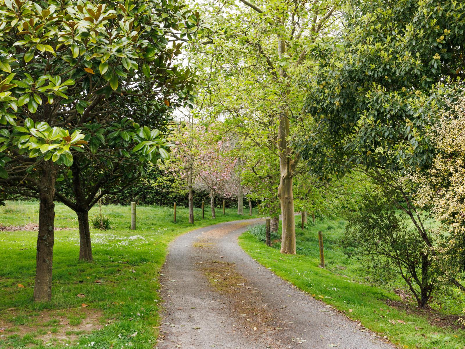 31 Kahuterawa Road, Turitea