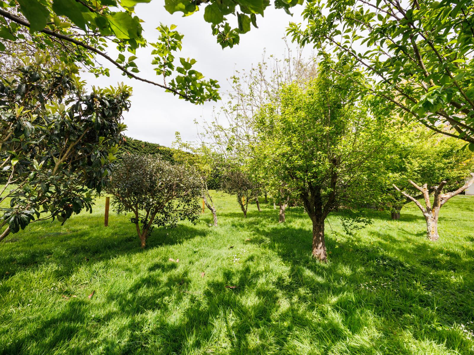 31 Kahuterawa Road, Turitea