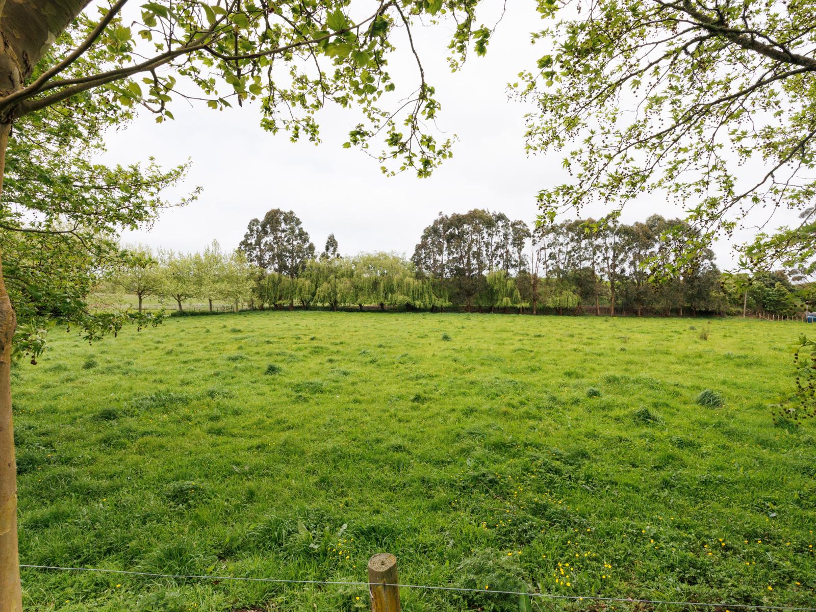 31 Kahuterawa Road, Turitea