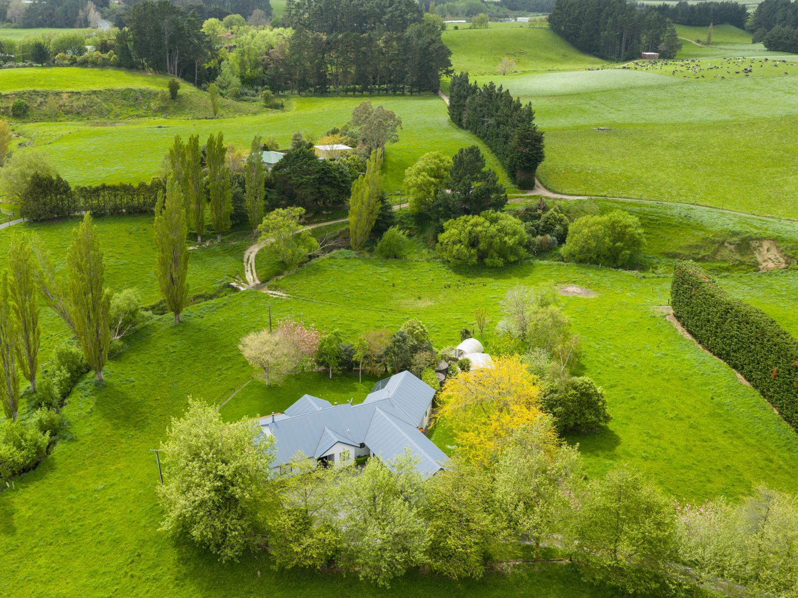 31 Kahuterawa Road, Turitea