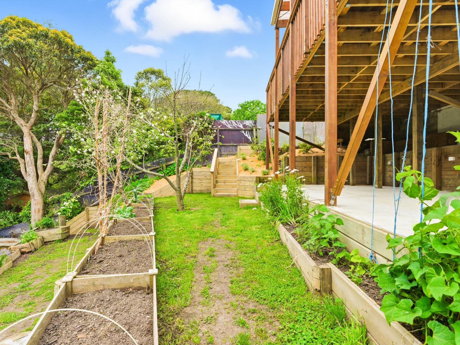 14 Plunket Street, Durie Hill