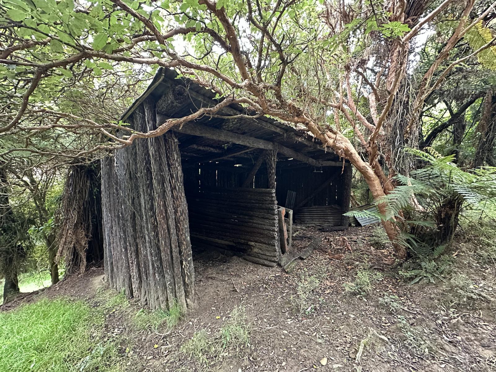112 Waikawa Curio Bay Road, Waikawa