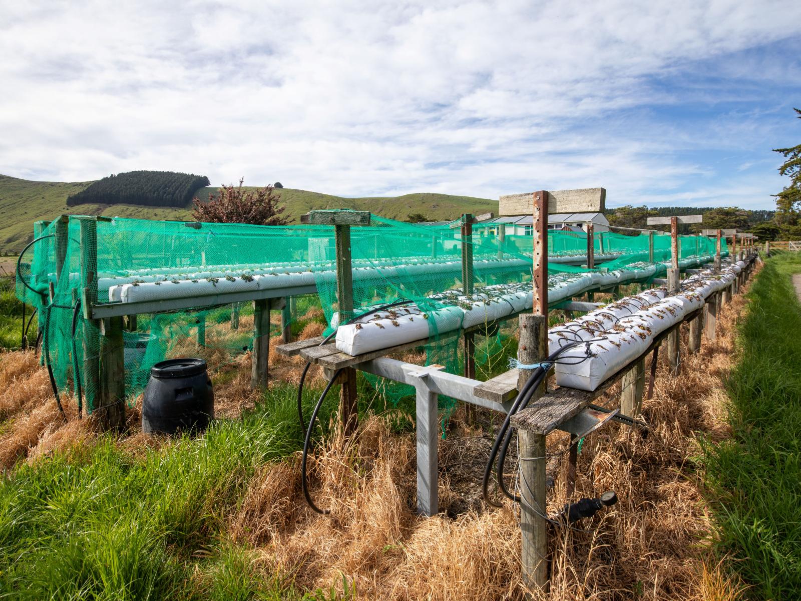 1905 Christchurch Akaroa Road, Motukarara