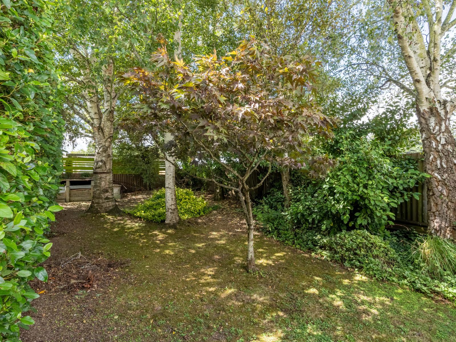 75 Gerrard Road, Winton