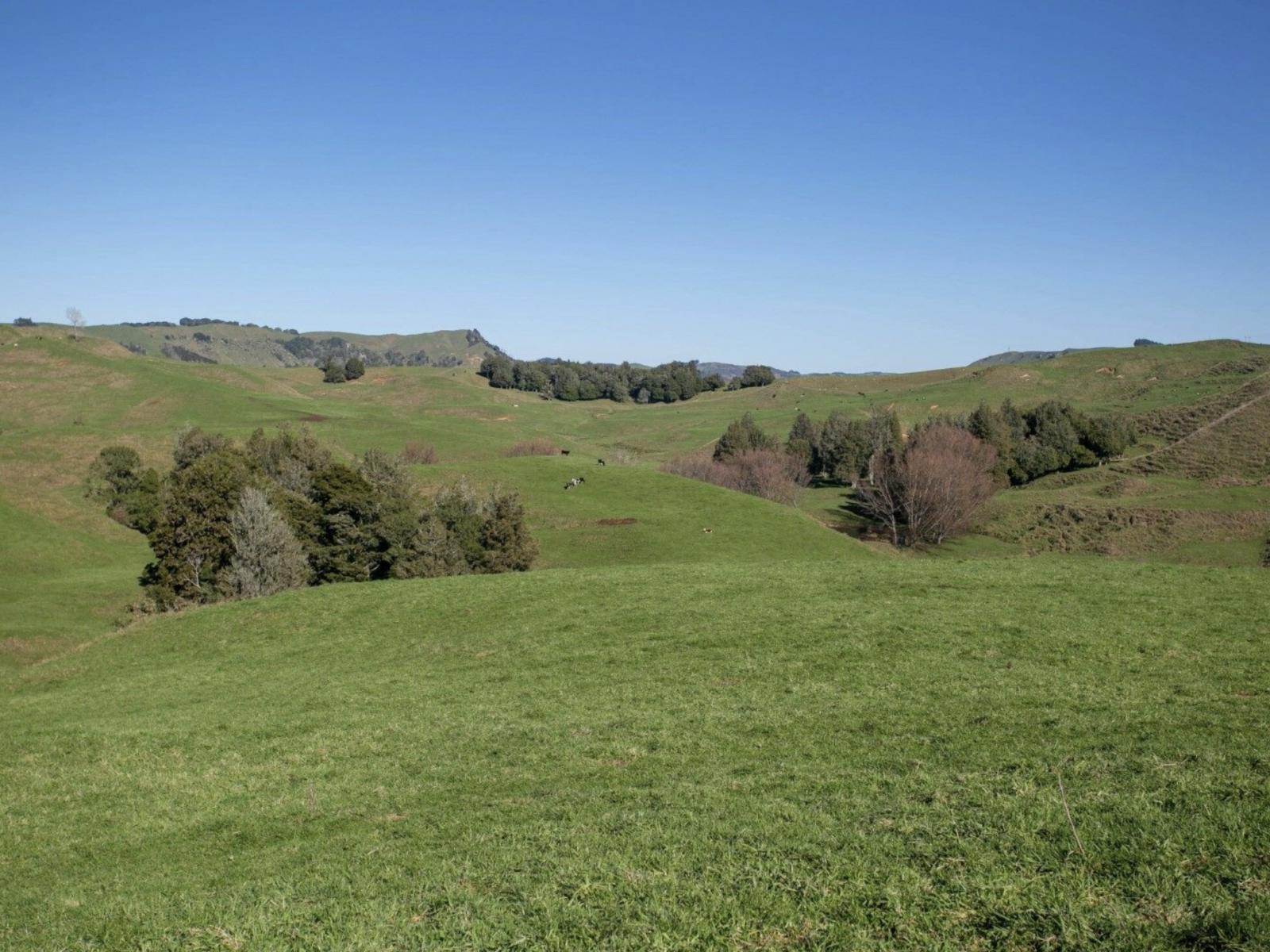 154 State Highway 3, Te Kuiti