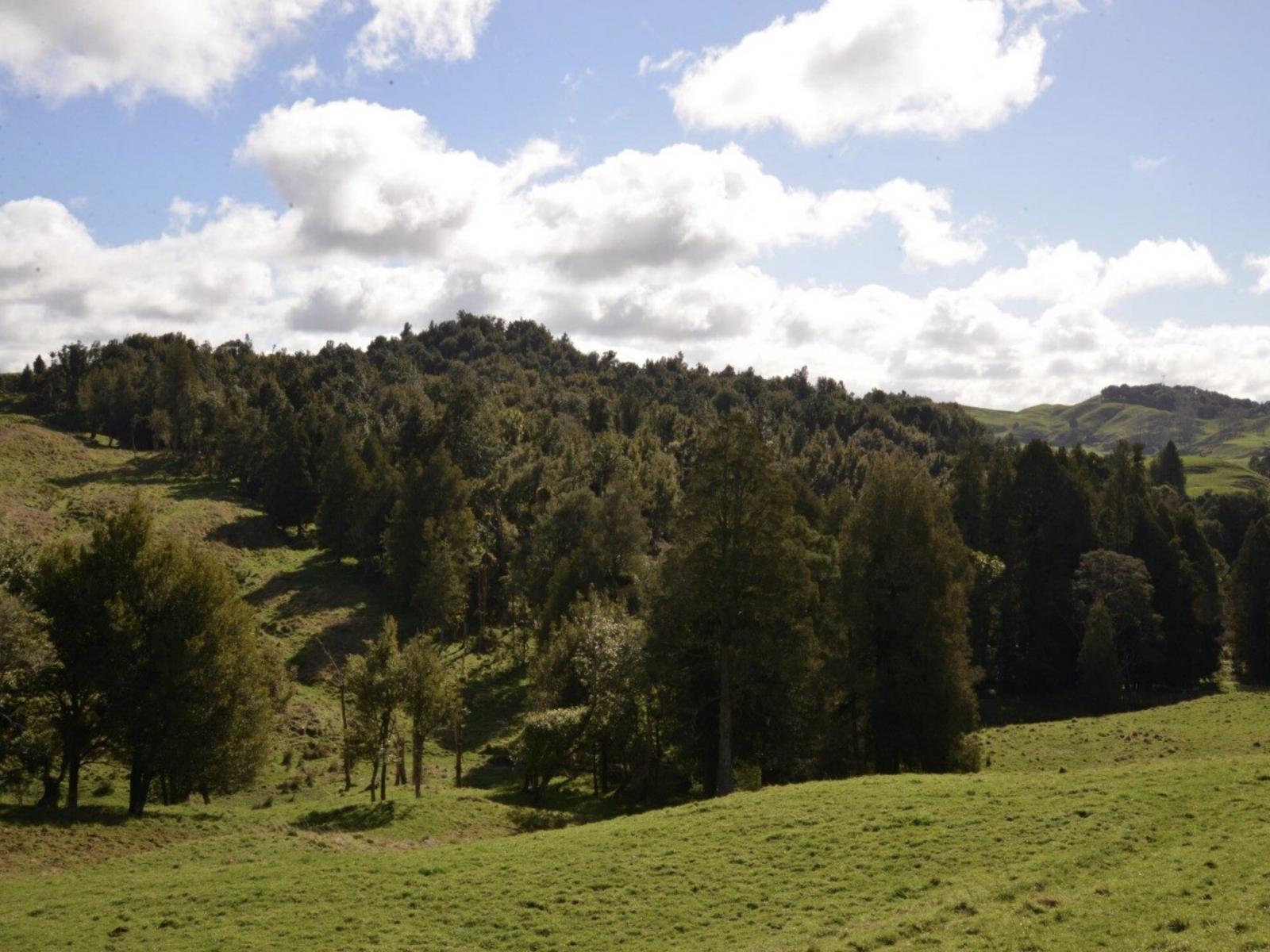 154 State Highway 3, Te Kuiti