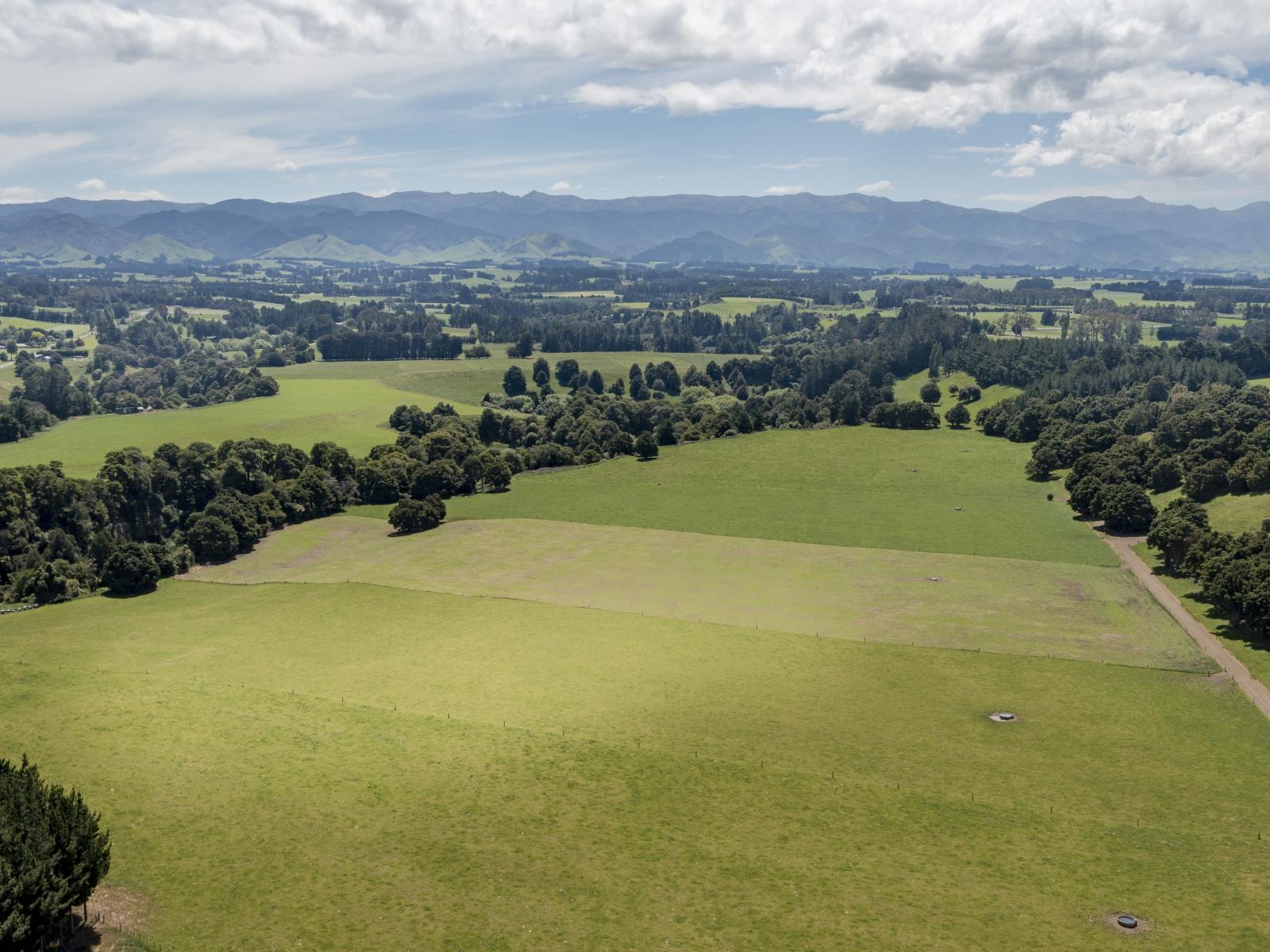 227 Whenuahou Road, Norsewood