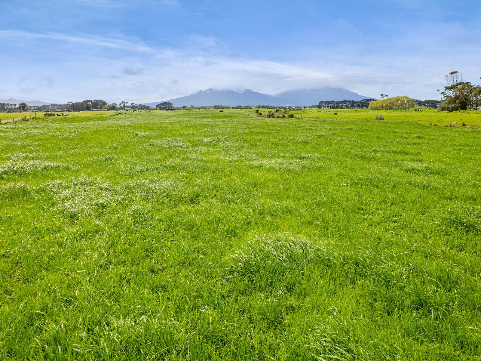 7104 South Road, Warea