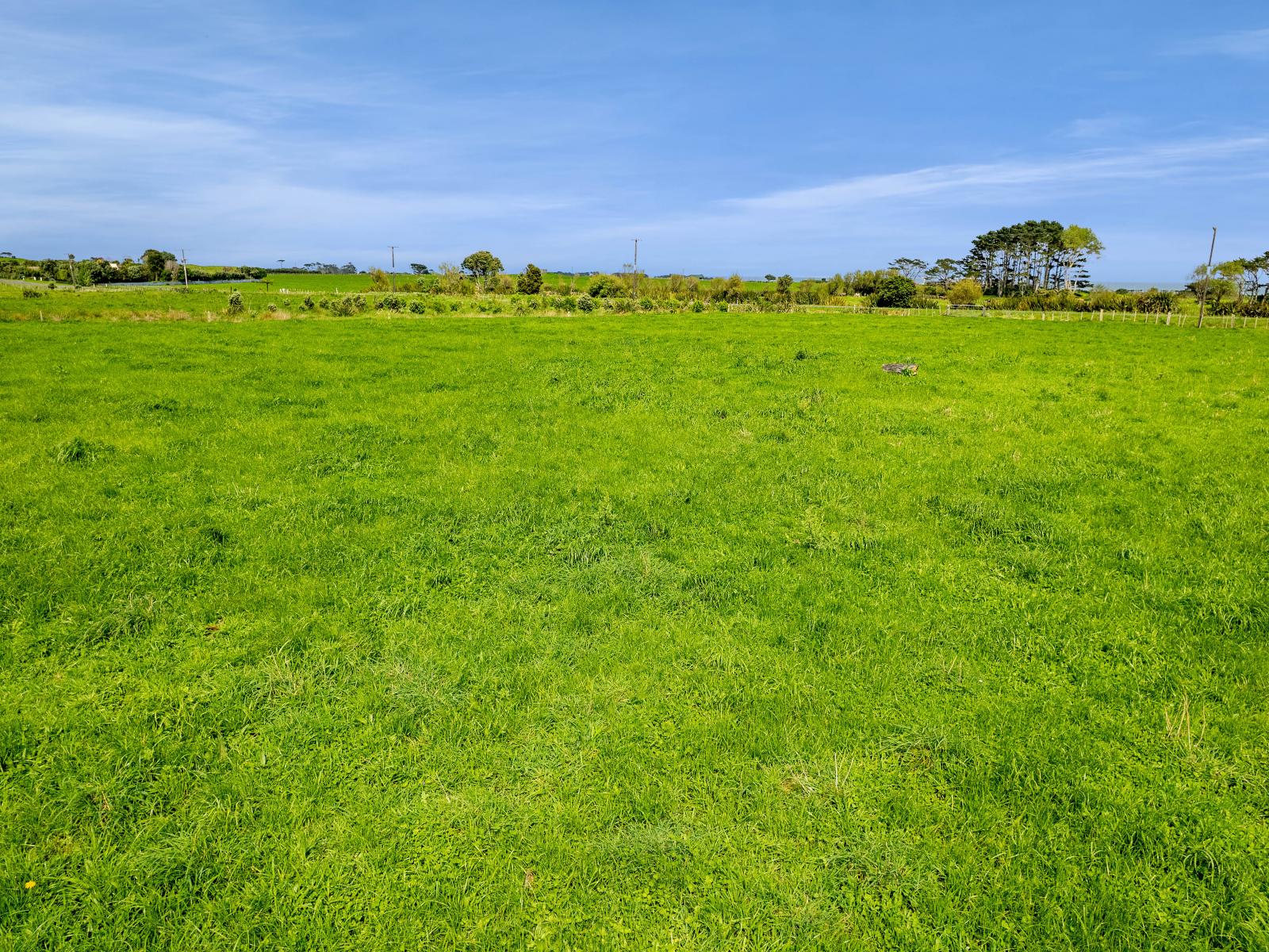 7104 South Road, Warea