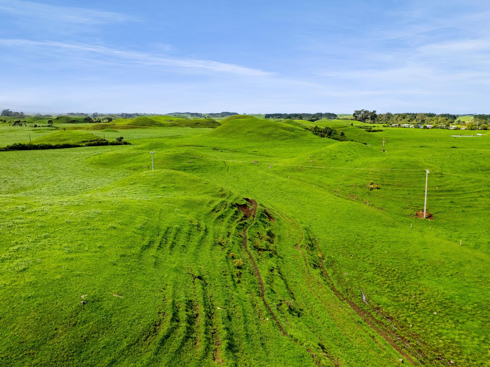 South Road, Pungarehu