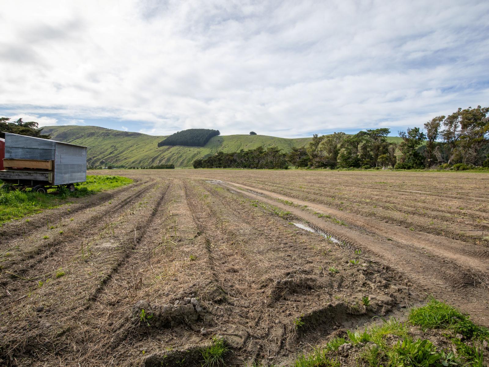 1905 Christchurch Akaroa Road, Motukarara
