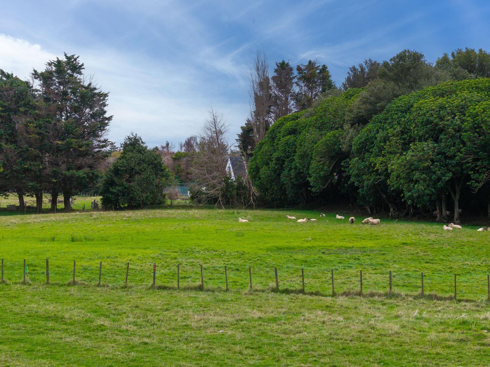 4 Reikorangi Road, Waikanae