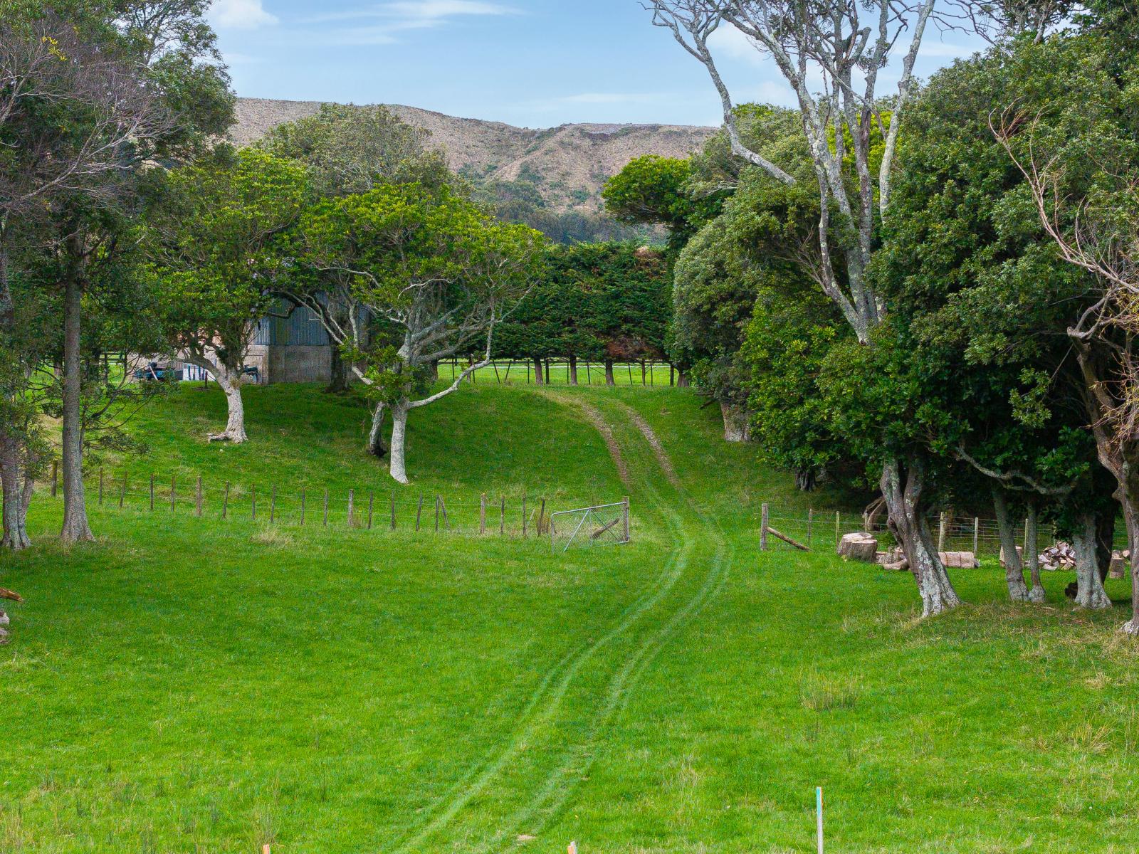 4 Reikorangi Road, Waikanae