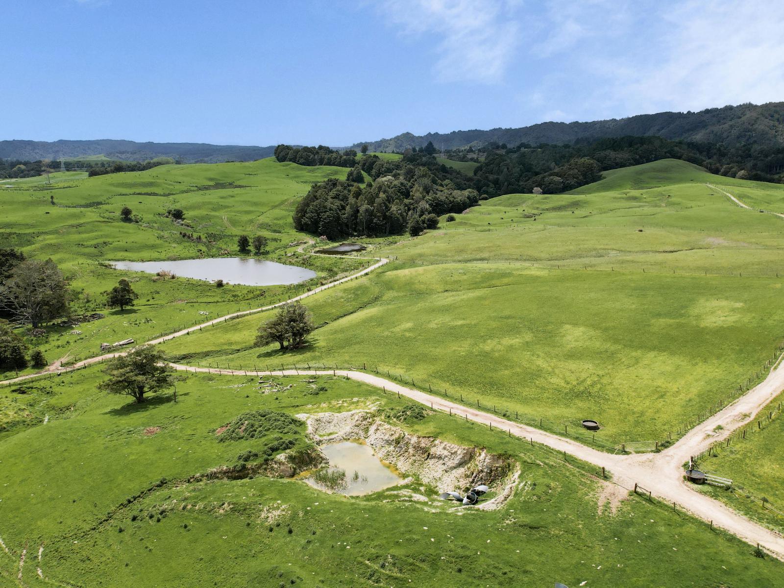 2051 Paparoa-Oakleigh Road, Taipuha