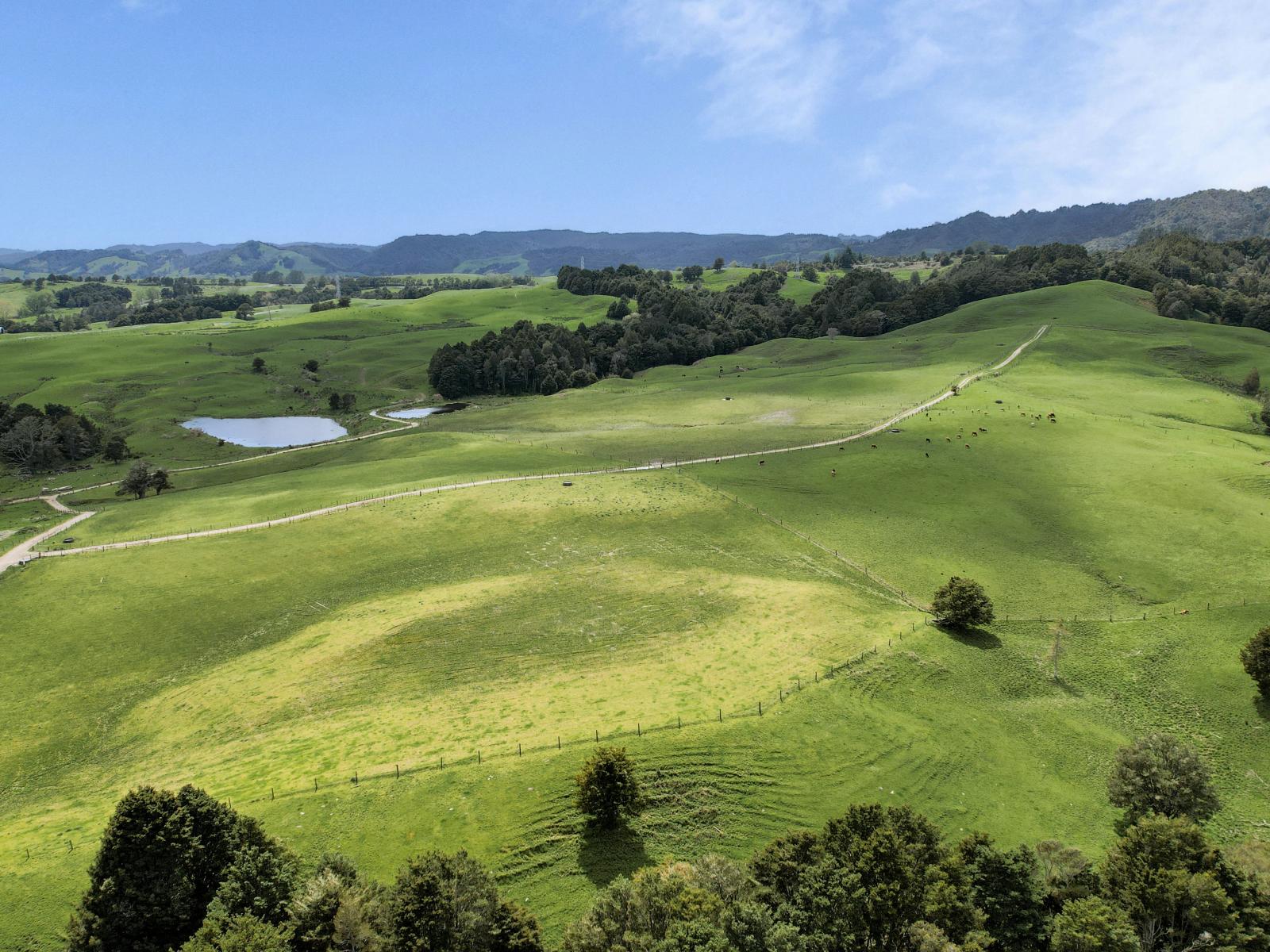 2051 Paparoa-Oakleigh Road, Taipuha