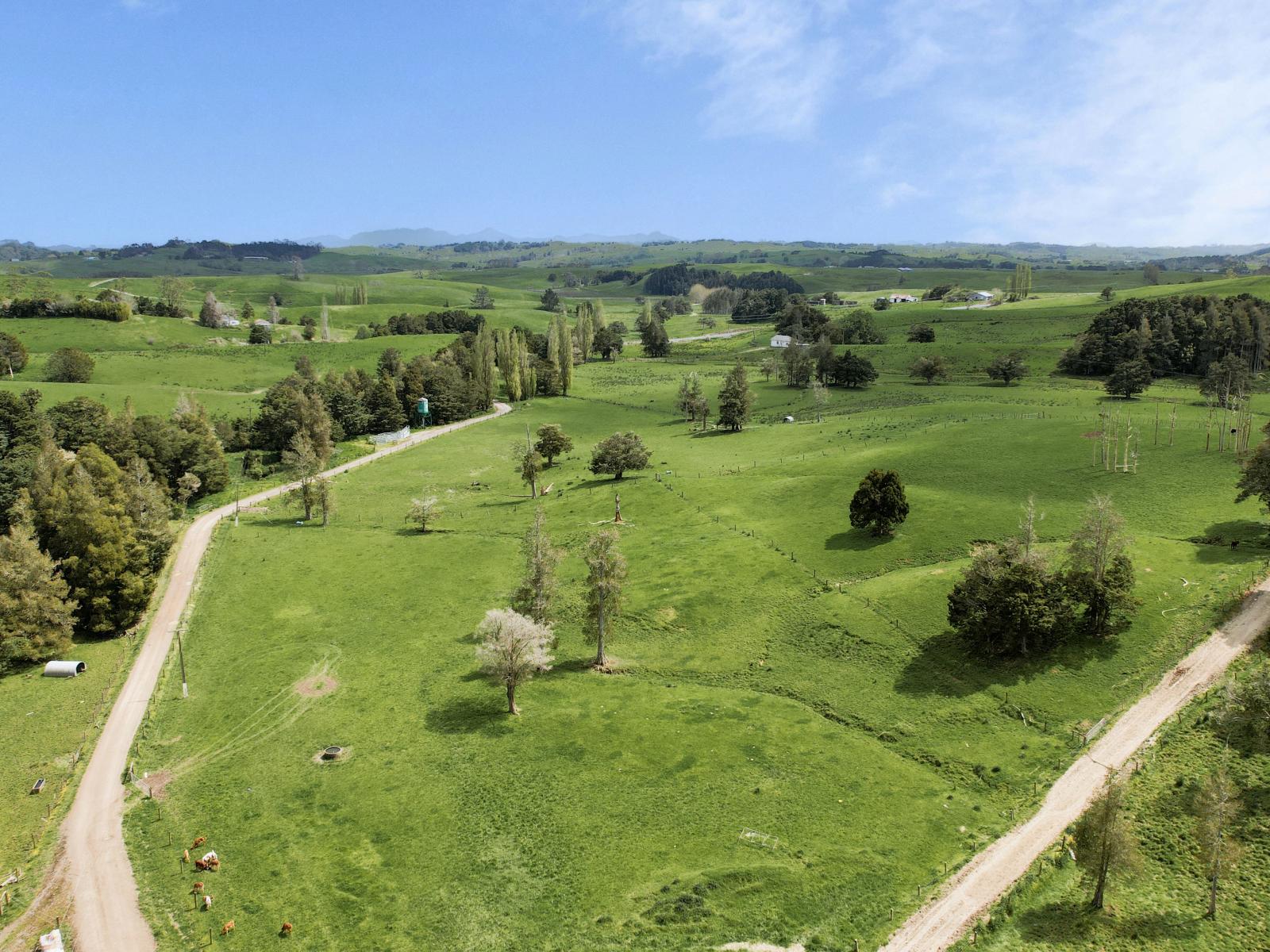 2051 Paparoa-Oakleigh Road, Taipuha